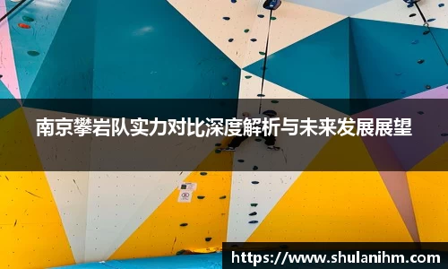 南京攀岩队实力对比深度解析与未来发展展望