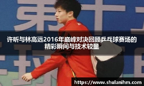 球王会体育