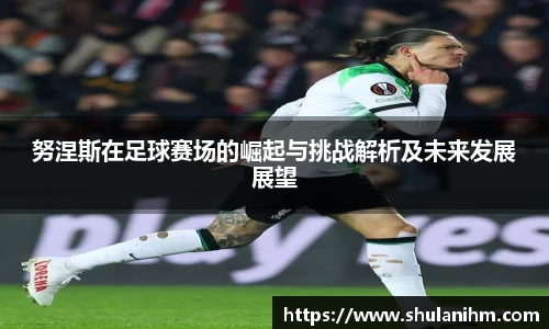 球王会体育